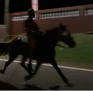 Meet your Posher, Rolando